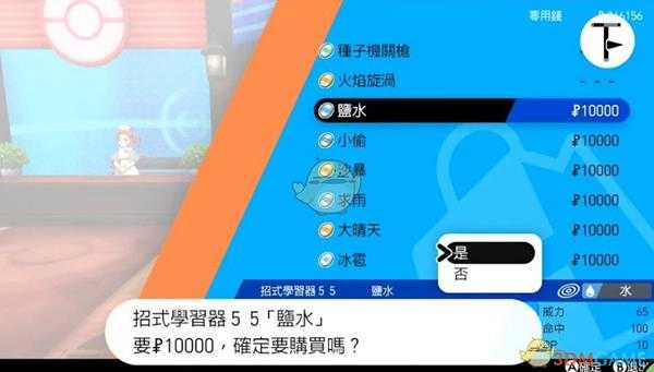 《宝可梦：剑/盾》招式学习器TM55盐水位置分享