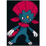 《宝可梦：剑/盾》玛狃拉图鉴