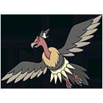 《宝可梦：剑/盾》秃鹰娜图鉴