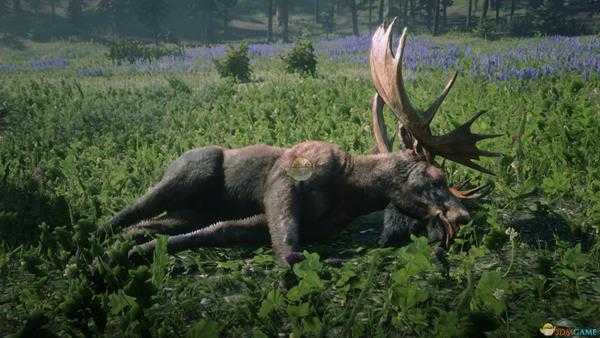 《荒野大镖客2》武器保养攻略分享