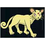 《宝可梦：剑/盾》猫老大图鉴