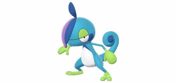 《宝可梦：剑/盾》变涩蜥图鉴