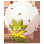 《宝可梦：剑/盾》白蓬蓬图鉴