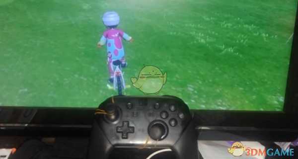 《宝可梦：剑/盾》快速孵蛋攻略 皮筋大法分享