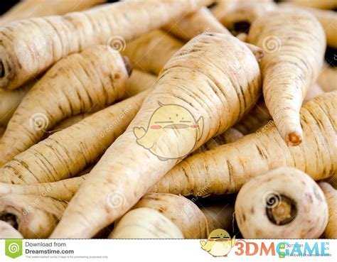 《星露谷物语》游戏中的作物、鱼类、矿石在现实中的样子分享