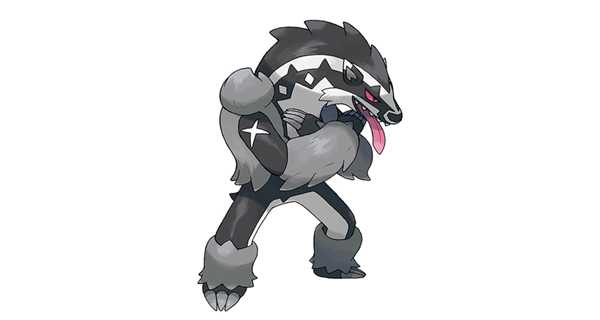 《宝可梦：剑/盾》堵拦熊双打配招