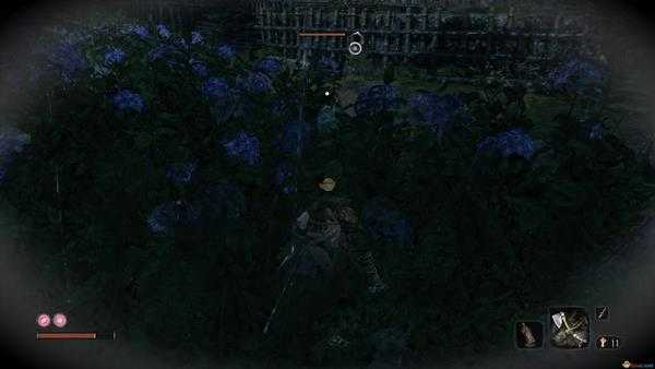 《只狼：影逝二度》忍者猎人弥山院圆真打法攻略