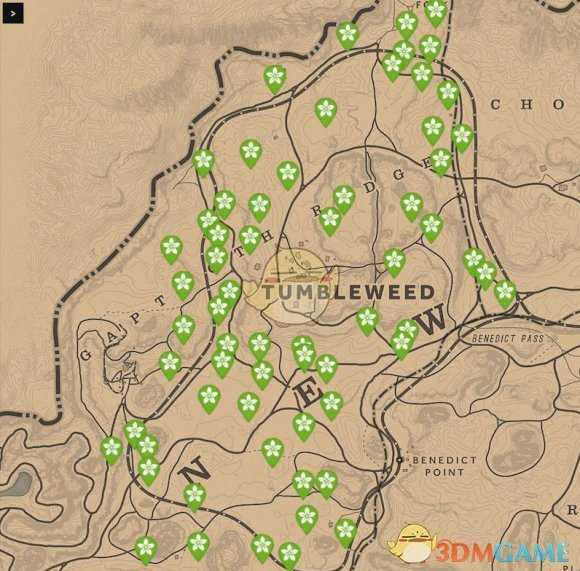 《荒野大镖客2》每日任务技巧分享