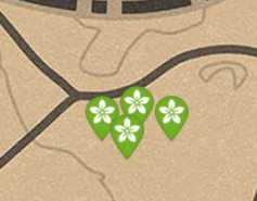 《荒野大镖客2》每日任务技巧分享