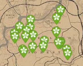 《荒野大镖客2》每日任务技巧分享