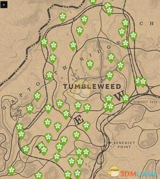 《荒野大镖客2》每日任务技巧分享