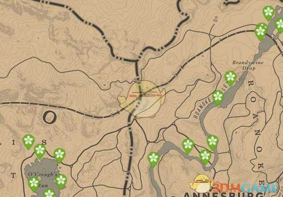 《荒野大镖客2》每日任务技巧分享