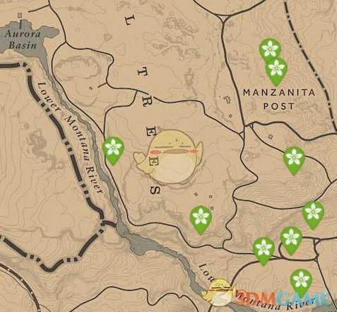 《荒野大镖客2》每日任务技巧分享