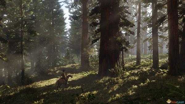 《荒野大镖客2》线上模式核心生命值快速提升方法介绍