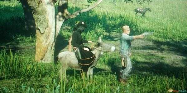 《荒野大镖客2》线上模式毛驴位置介绍