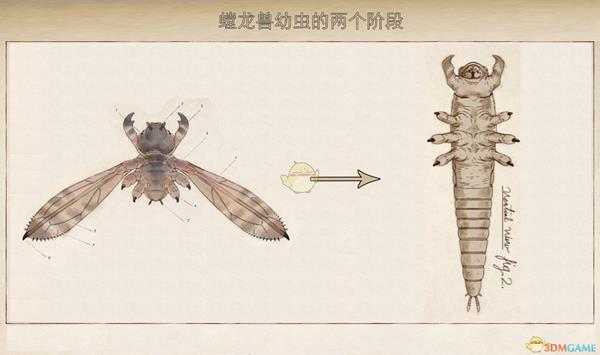 《天外世界》翡翠鸟星系螳龙兽生物图鉴