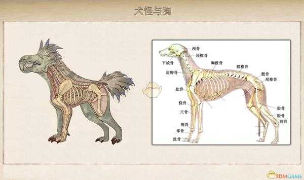 《天外世界》翡翠鸟星系犬怪生物图鉴