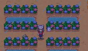 《暖暖村物语》作物种植攻略