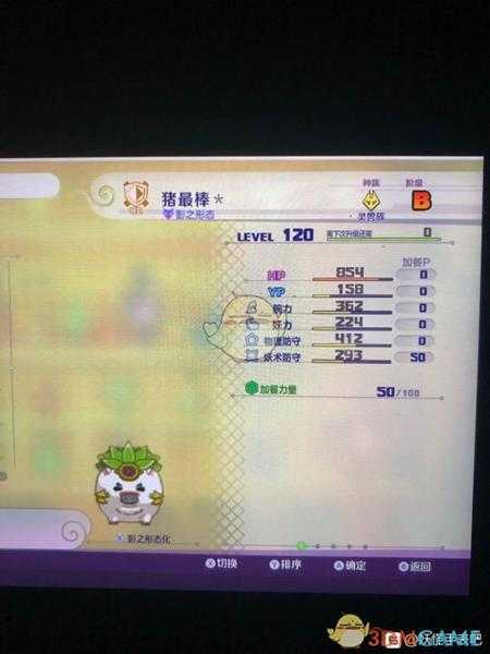 《妖怪手表4》野猪仔SS属性图鉴一览 金名捕获地点分享