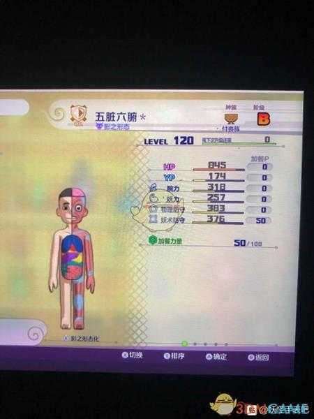 《妖怪手表4》进太SS属性图鉴一览 金名捕获地点分享