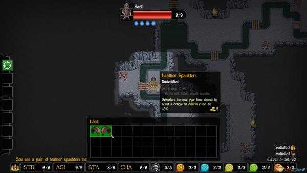 《游侠传奇》血瘟疾病效果介绍