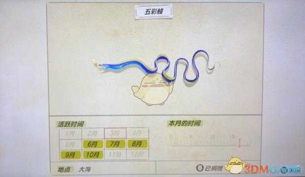 《集合啦！动物森友会》五彩鳗活跃月份及活跃地点分享
