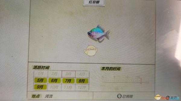 《动物森友会》河流鱼类红目鲫图鉴