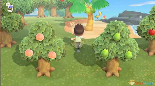 《动物森友会》果树收获上限介绍