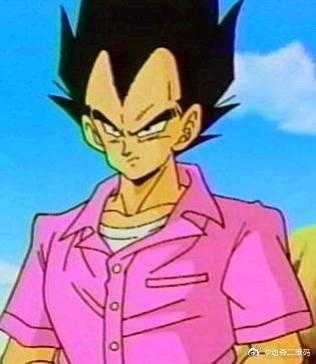 《动物森友会》七龙珠服装二维码