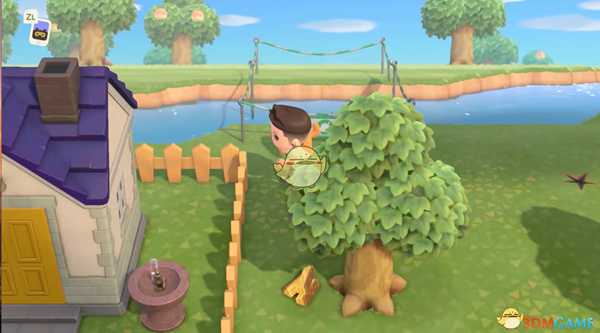 《动物森友会》无伤抓狼蛛攻略