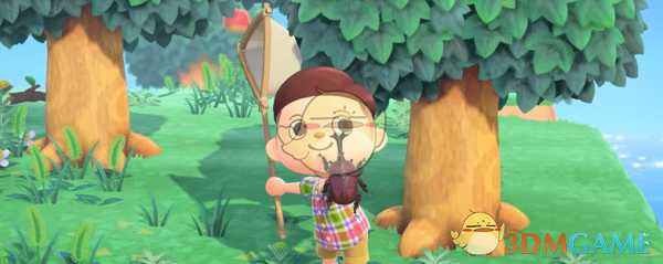 《动物森友会》昆虫图鉴大全