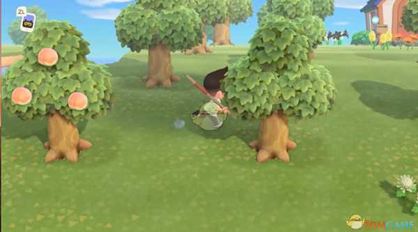 《动物森友会》南北半球缺点介绍