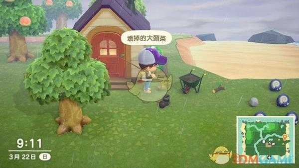 《集合啦！动物森友会》大头菜在哪 大头菜商人位置