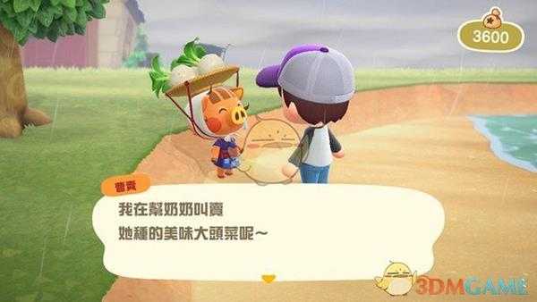 《集合啦！动物森友会》大头菜在哪 大头菜商人位置