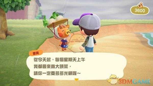 《集合啦！动物森友会》大头菜在哪 大头菜商人位置