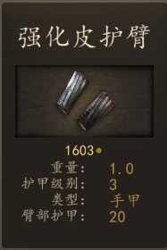 《骑马与砍杀2》阿塞莱精锐射手装备一览 实战强度分析