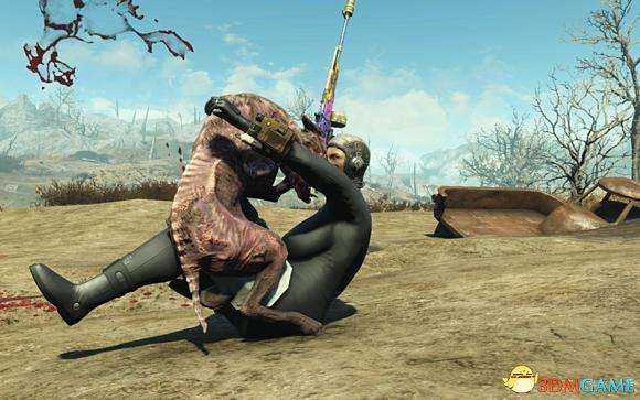 《辐射4》各种死亡爪代码大全一览