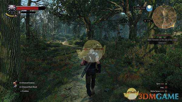 《巫师3》【堕落恶魔】成就达成方法