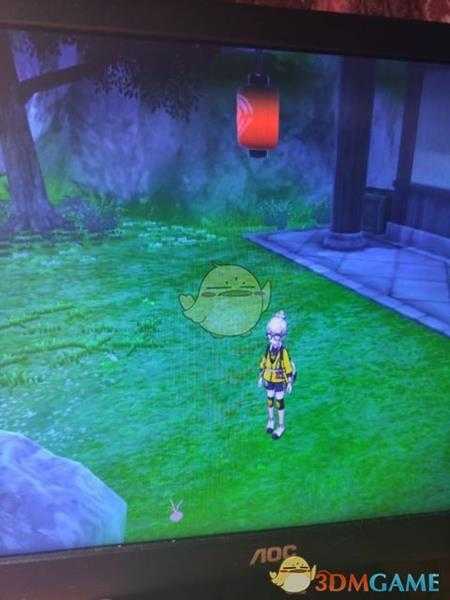 《宝可梦：剑/盾》揖礼原野地鼠位置分享