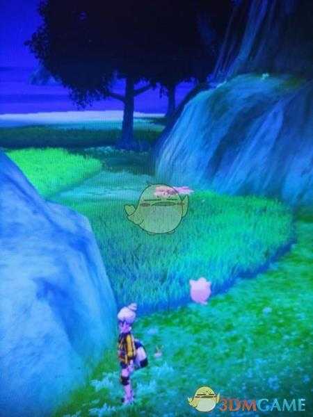 《宝可梦：剑/盾》揖礼原野地鼠位置分享