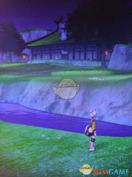 《宝可梦：剑/盾》揖礼原野地鼠位置分享