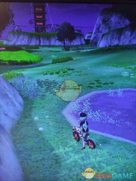 《宝可梦：剑/盾》清凉湿原地鼠位置分享