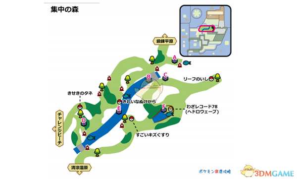 《宝可梦：剑/盾》专注森林全巢穴信息一览