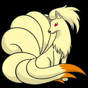 《宝可梦：剑/盾》九尾63单打配招