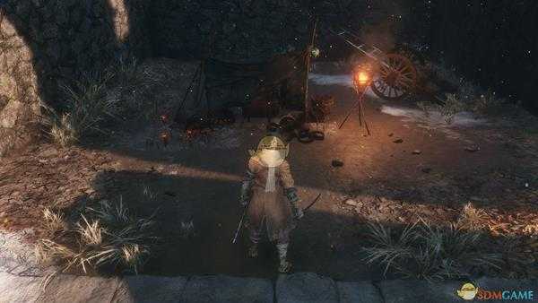 《只狼：影逝二度》全葫芦种子具体获得方法分享