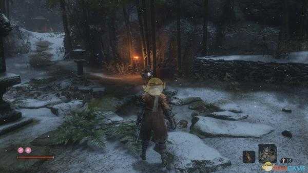 《只狼：影逝二度》全葫芦种子具体获得方法分享