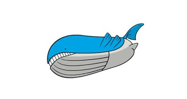 《宝可梦：剑/盾》铠之孤岛吼鲸王图鉴