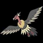 《宝可梦：剑/盾》铠之孤岛秃鹰娜图鉴