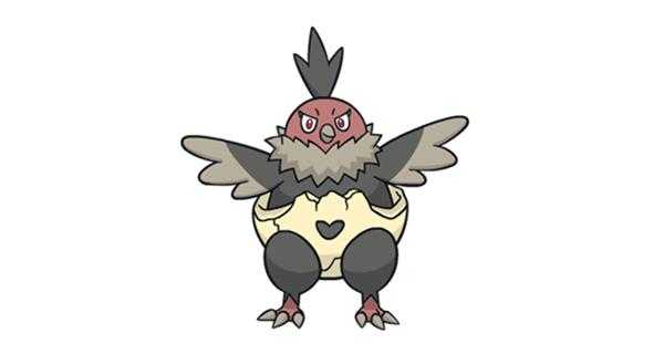 《宝可梦：剑/盾》铠之孤岛秃鹰丫头图鉴