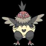 《宝可梦：剑/盾》铠之孤岛秃鹰丫头图鉴